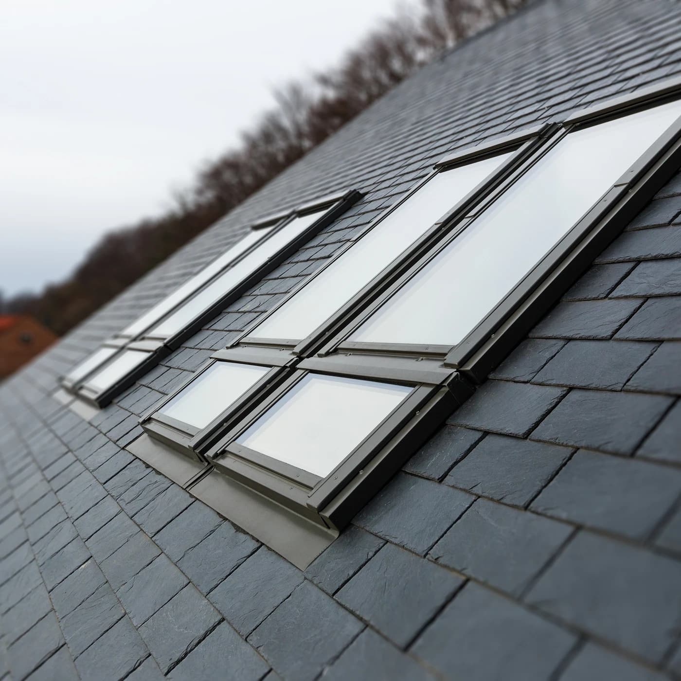 ELV-T _X00 - Opisy[0]