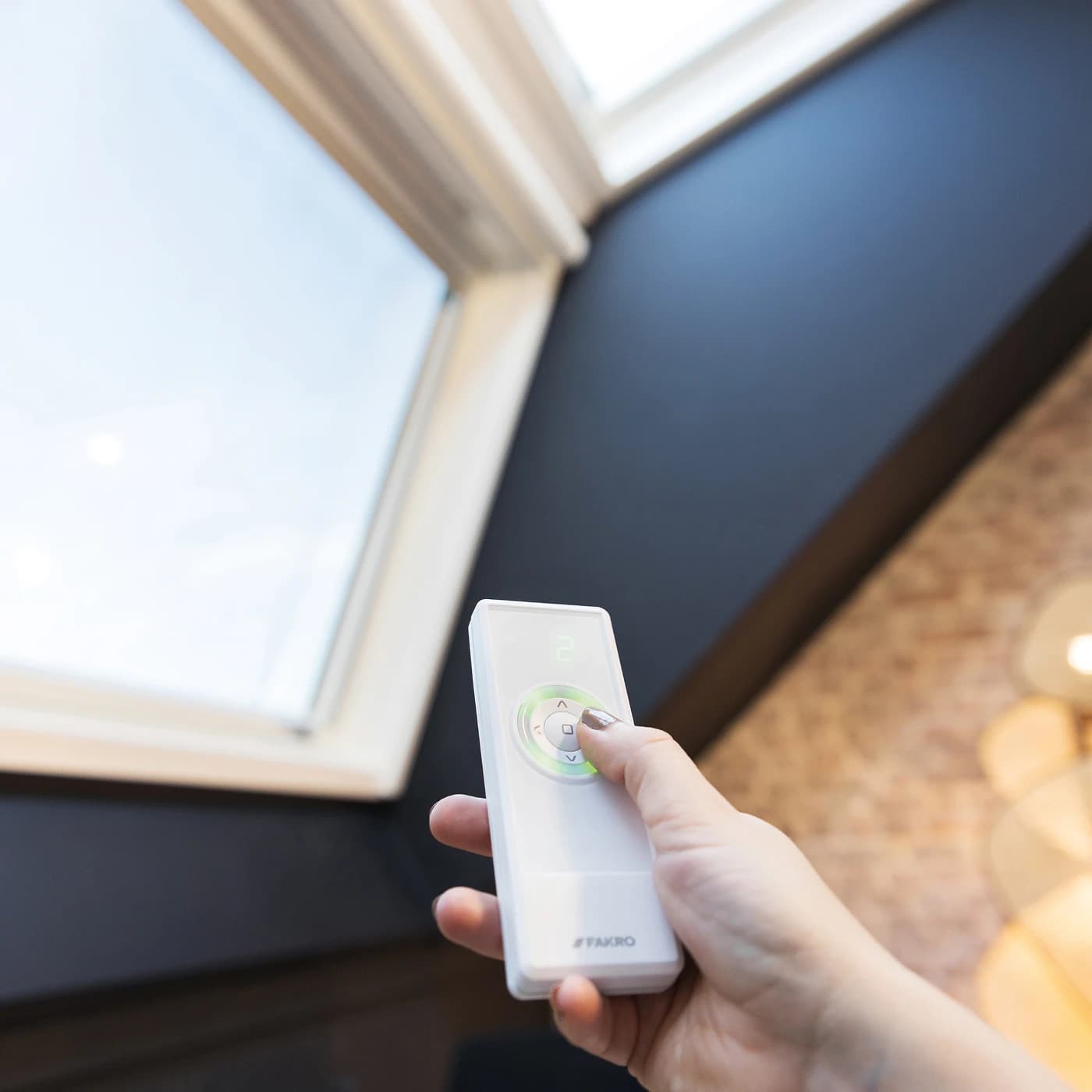 FTP-V P50 APSX - Opisy[0]