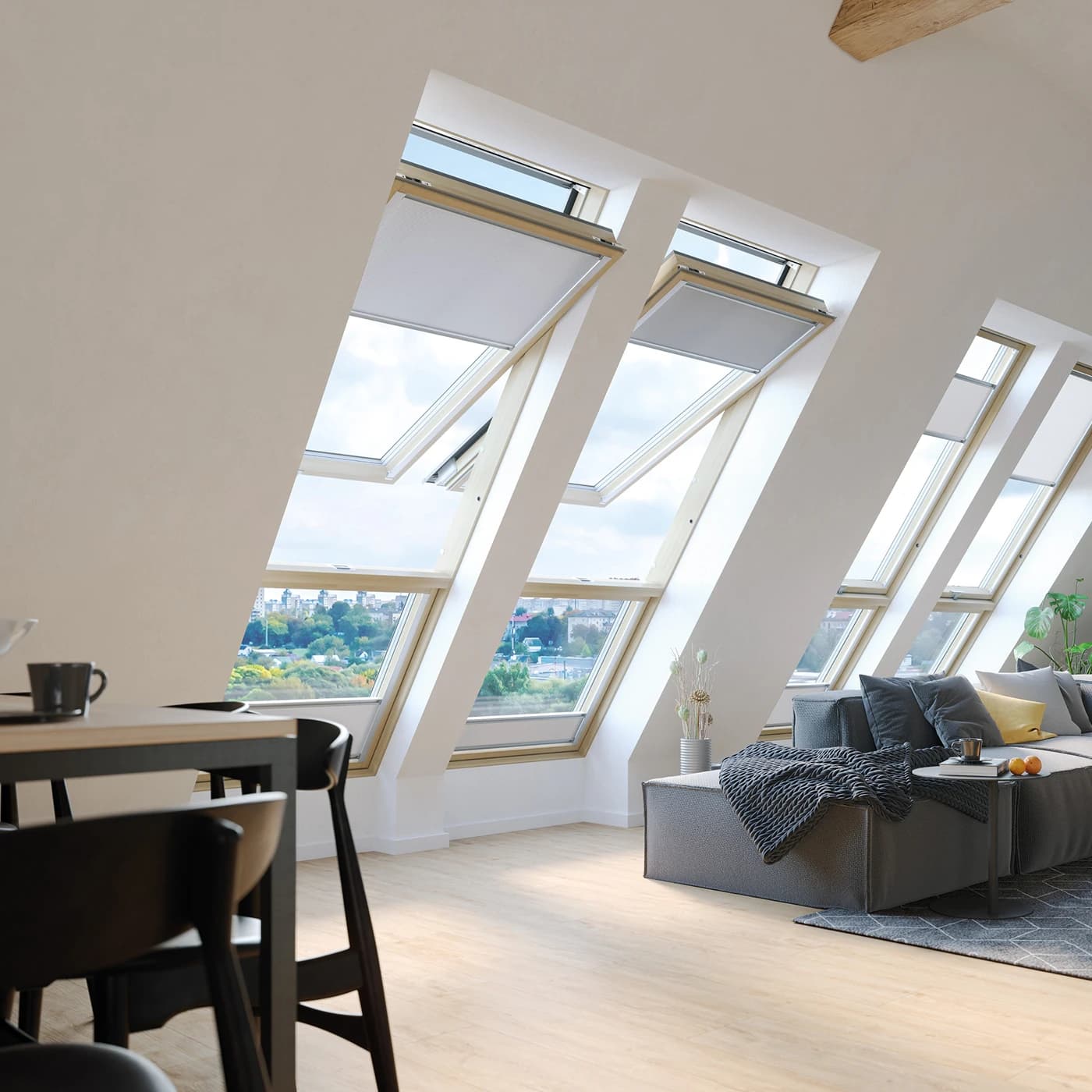 FDP-X P50 APMX - Opisy[0]